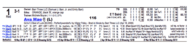 Equibase past performance