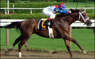 Azeri, 2002 Horse of the Year