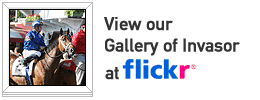 Visit our gallery of Invasor at Flickr