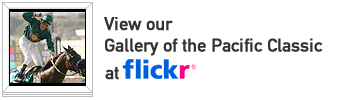 View our gallery at Flickr!