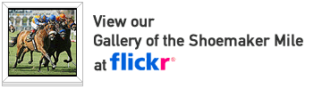 View our gallery at Flickr!