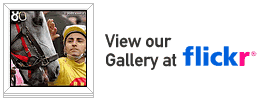 View our gallery at Flickr!