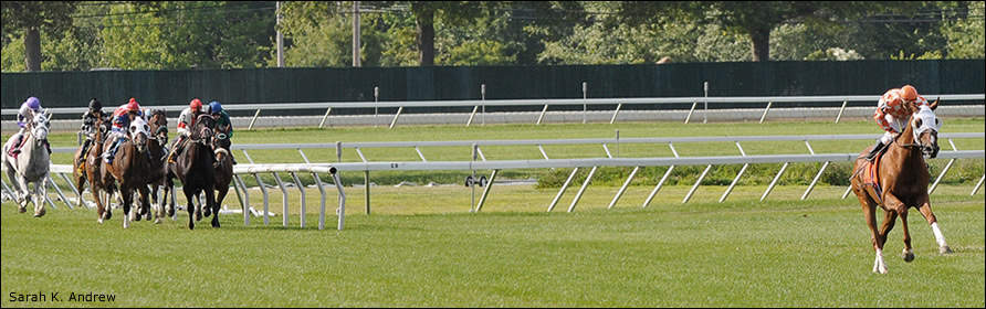 Presious Passion with a commanding lead in the stretch at Monmouth Park.