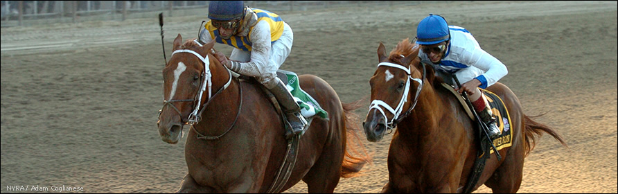 Curlin winning the 2007 Jockey Club Gold Cup over Lawyer Ron