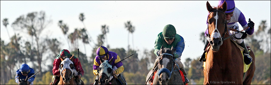 Head on shot of horses in the stretch.