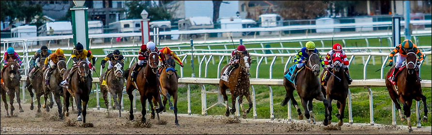 A large group of horses runs in the stretch.