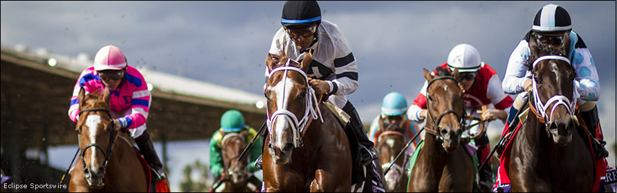 Juvenile fillies in the stretch.
